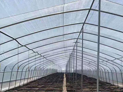 鍍鋅管大棚-鍍鋅管蔬菜溫室大棚-鍍鋅管大棚骨架