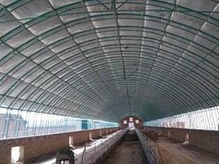 養殖棚-溫室大棚