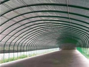 養殖大棚-大棚骨架
