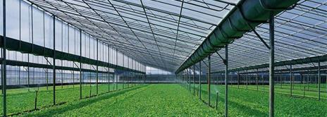 溫室大棚建設材料