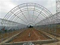 河北溫室大棚-雙膜雙拱溫室大棚