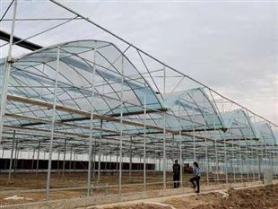 連棟薄膜大棚-連棟溫室大棚-連棟大棚