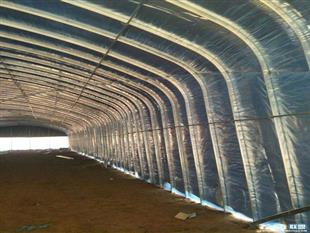 C型鋼大棚-溫室薄膜大棚-雙膜骨架大棚