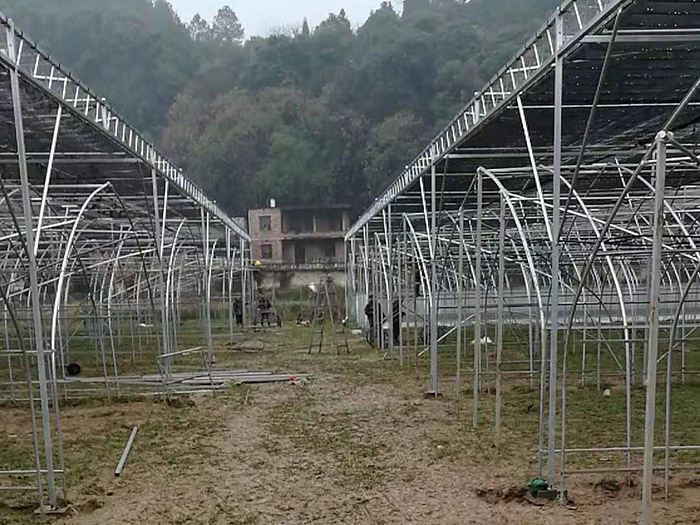 湖南遠(yuǎn)鴻<strong>食用菌大棚</strong>案例