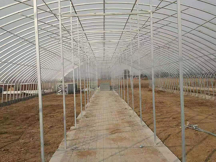 平頂山<strong>香菇大棚</strong>安裝現(xiàn)場(chǎng)