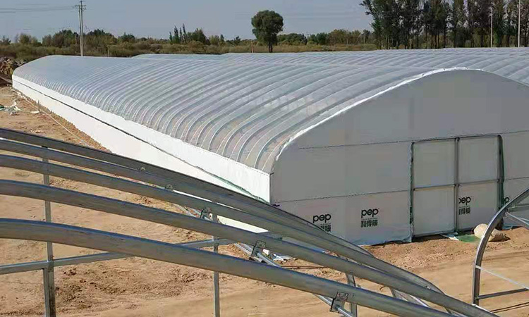 <strong>羊肚菌溫室大棚</strong>