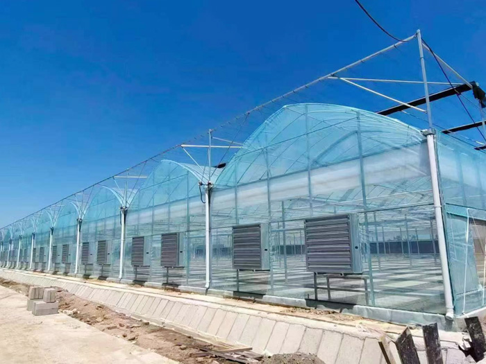 <strong>柔性日光溫室</strong>